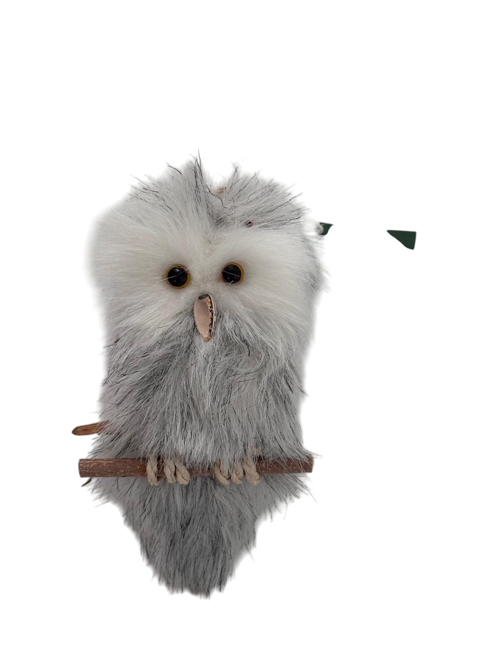 búhos