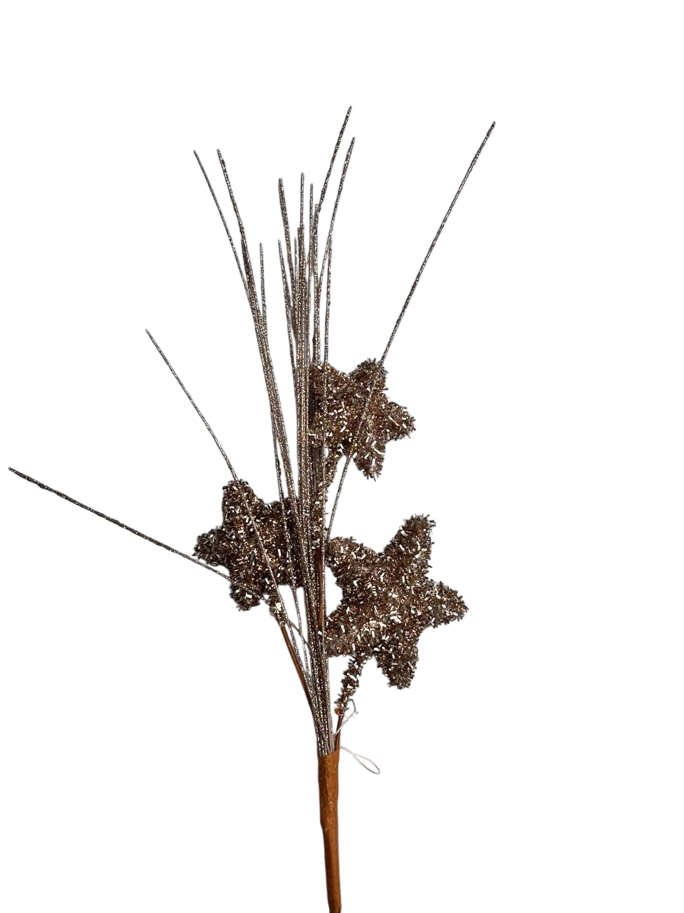 vara estrella